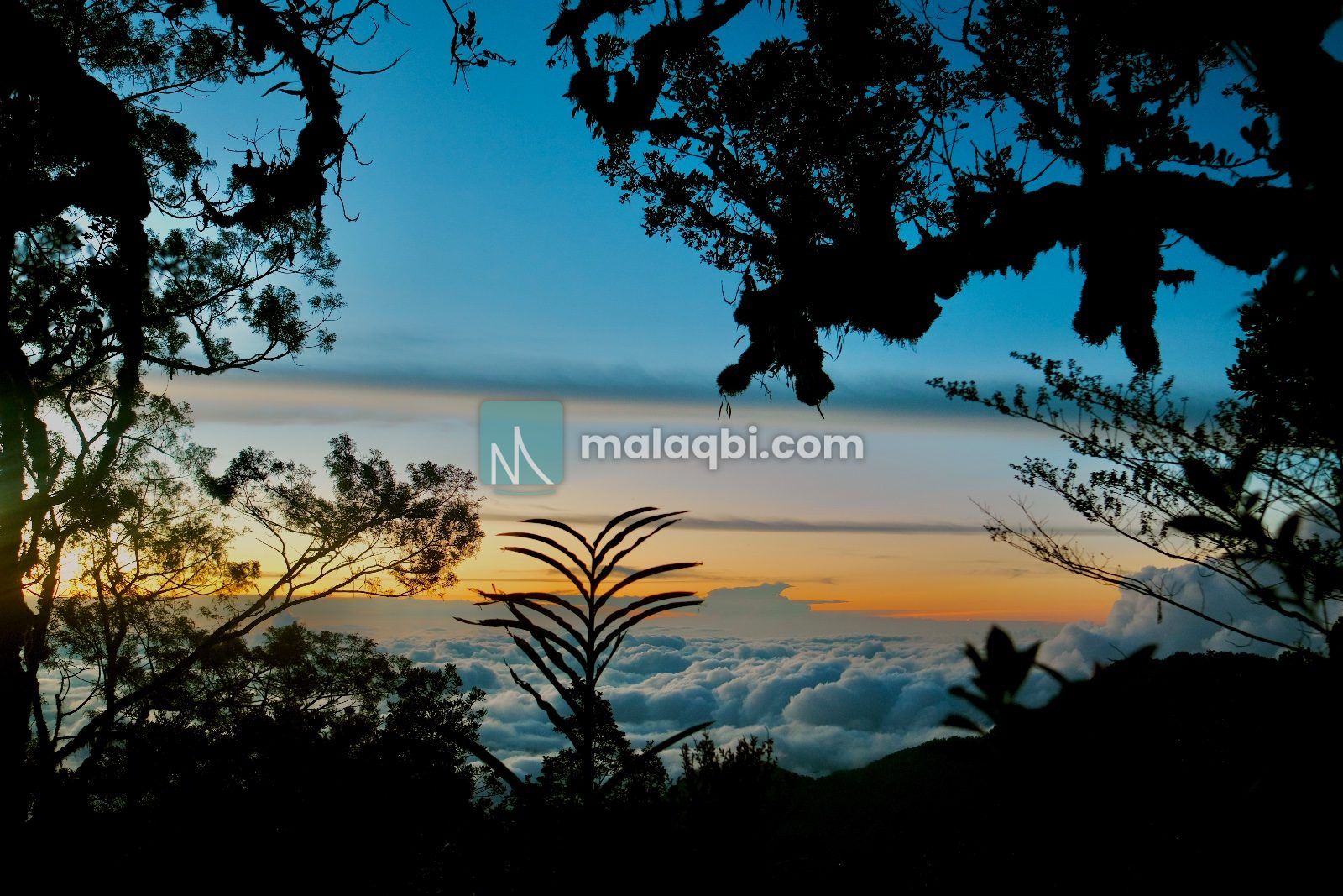 Gandang Dewata, Puncak Sulawesi Barat