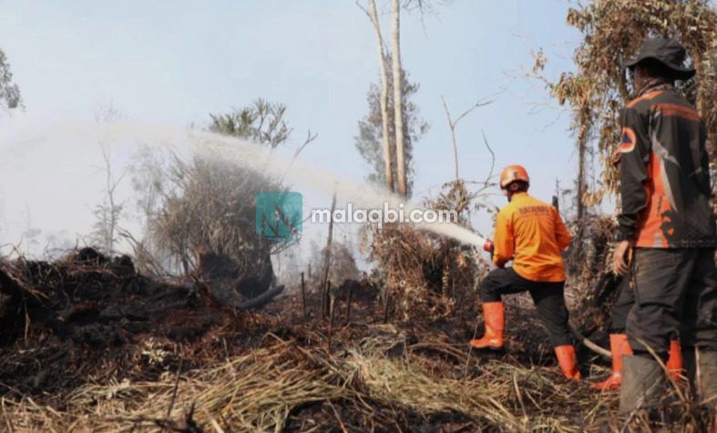 Bantuan Karhutla Tahap II Untuk 7 Provinsi Dari Pemerintah Pusat, Sulbar Tidak Tercantum Dalam Daftar